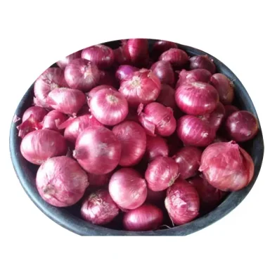FRESH ONION